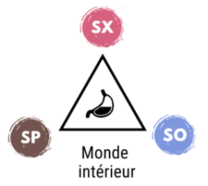 triangle instincts triangle instincts